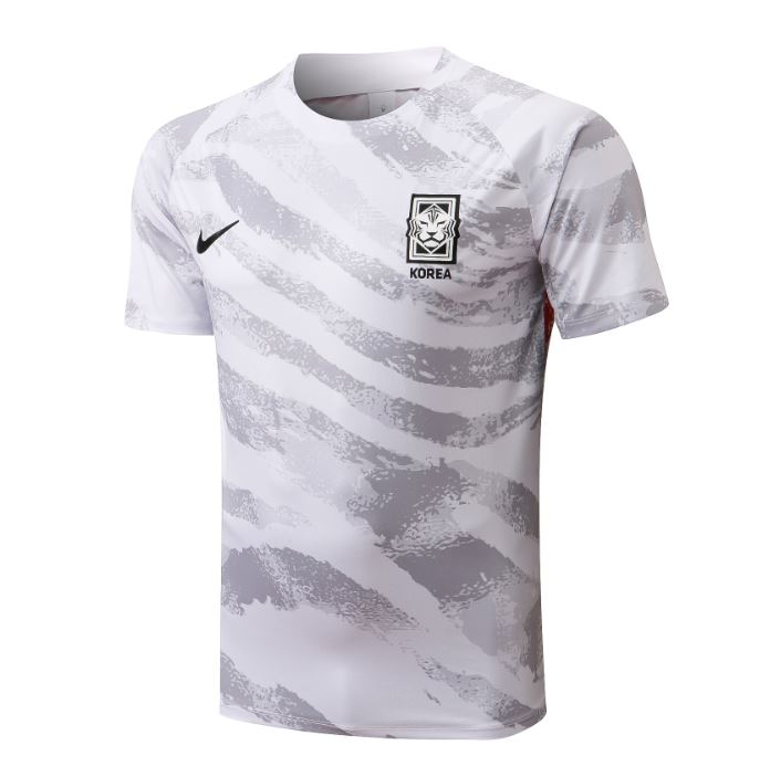 Maillot Corée du Sud Training 2022/23 - Cliquez sur l'image pour la fermer