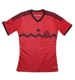 Maillot Mexique Exterieur 2014
