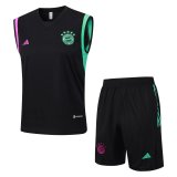 Bayern Munich Training Kit 2023/24